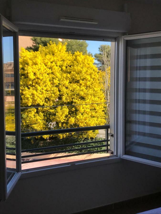 Appartamento Appart' Au Port Fréjus Esterno foto